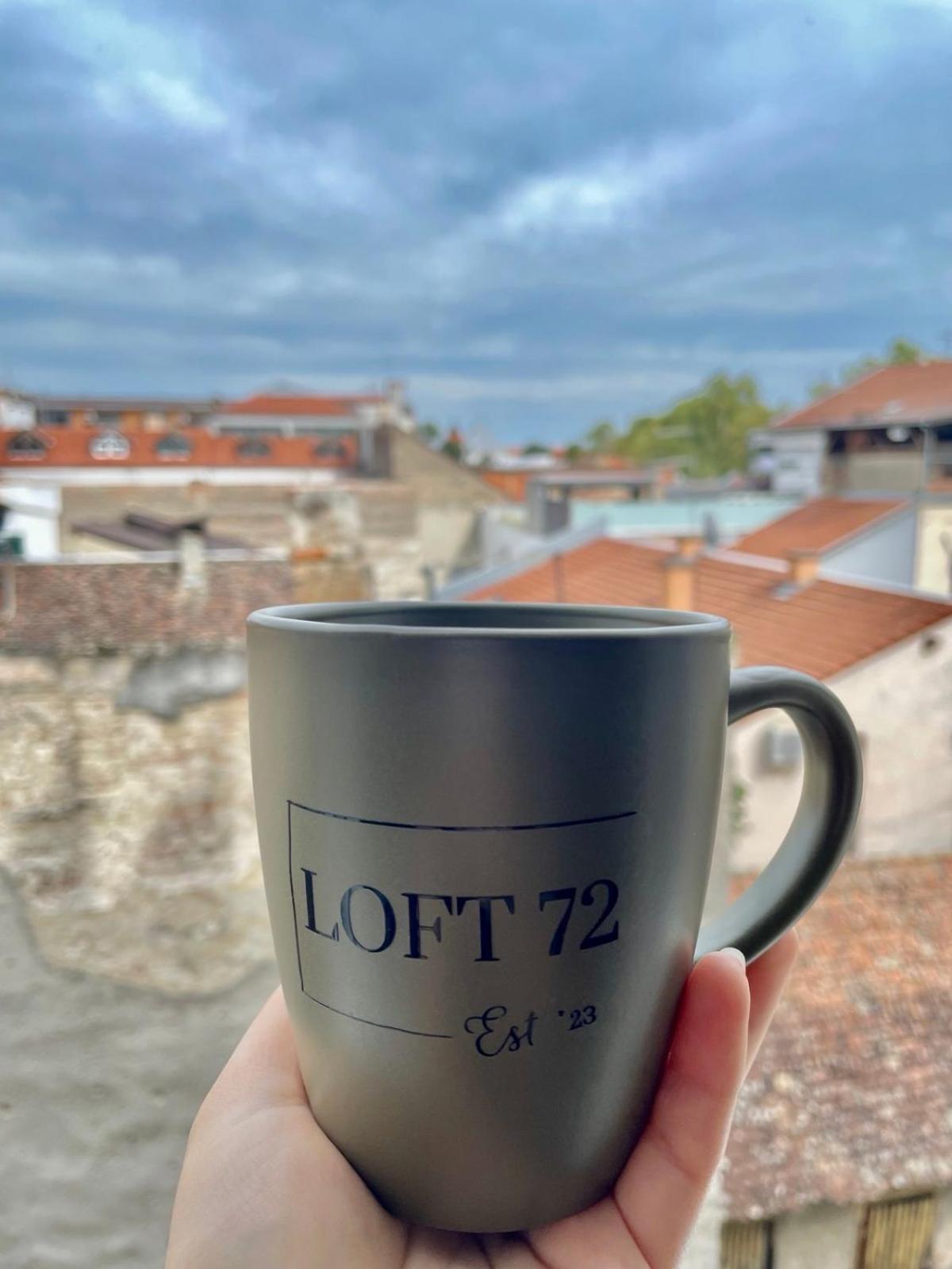 Apartman Loft 72 Slavonski Brod Extérieur photo
